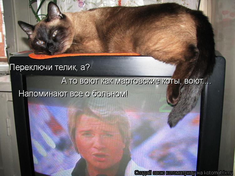 Переключи телик, а? А то воют как мартовские коты, воют.... Напоминают все о больном!... Котоматрица: Переключи телик, а? А то воют как мартовские коты, воют.... Напоминают все о больном!