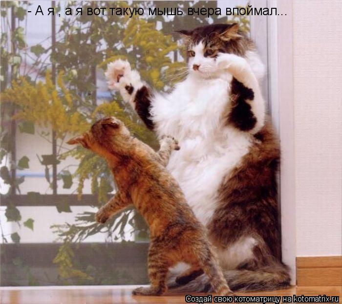 - А я , а я вот такую мышь вчера впоймал...... Котоматрица: - А я , а я вот такую мышь вчера впоймал...