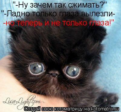 "-Ну зачем так сжимать?" "-Ладно только глаза вылезли- -но теперь и не только глаза!"... Котоматрица: "-Ну зачем так сжимать?" "-Ладно только глаза вылезли- -но теперь и не только глаза!"