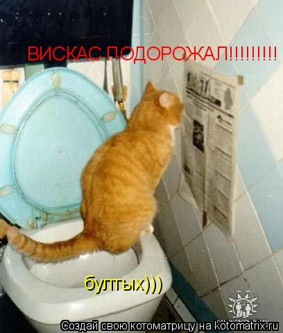 ВИСКАС ПОДОРОЖАЛ!!!!!!!!! бултых)))... Котоматрица: ВИСКАС ПОДОРОЖАЛ!!!!!!!!! бултых)))