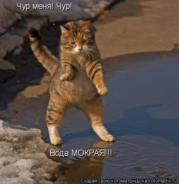 Чур меня! Чур! Вода МОКРАЯ!!!... Котоматрица: Чур меня! Чур! Вода МОКРАЯ!!!