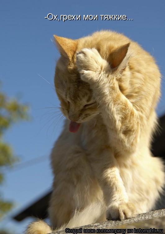 -Ох,грехи мои тяжкие...... Котоматрица: -Ох,грехи мои тяжкие...