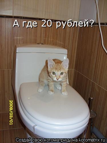 А где 20 рублей?... Котоматрица: А где 20 рублей?