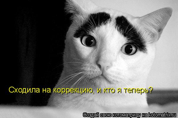 Сходила на коррекцию, и кто я теперь?... Котоматрица: Сходила на коррекцию, и кто я теперь?