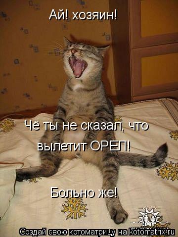 Ай! хозяин! Чё ты не сказал, что вылетит ОРЕЛ! Больно же!... Котоматрица: Ай! хозяин! Чё ты не сказал, что вылетит ОРЕЛ! Больно же!