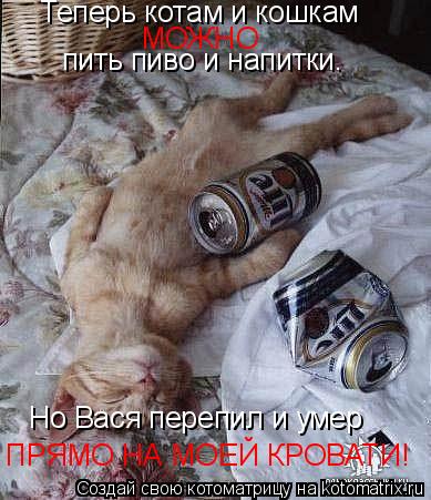 Теперь котам и кошкам МОЖНО Но Вася перепил и умер пить пиво и напитки. ПРЯМО НА МОЕЙ КРОВАТИ!... Котоматрица: Теперь котам и кошкам МОЖНО Но Вася перепил и умер пить пиво и напитки. ПРЯМО НА МОЕЙ КРОВАТИ!