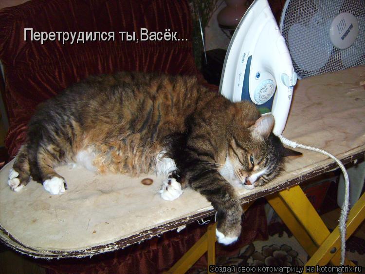 Перетрудился ты,Васёк...... Котоматрица: Перетрудился ты,Васёк...