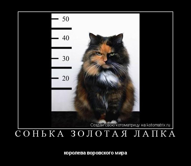 Сонька Золотая Лапка королева воровского мира... Котоматрица: Сонька Золотая Лапка королева воровского мира