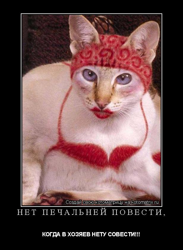 Нет печальней повести, КОГДА В ХОЗЯЕВ НЕТУ СОВЕСТИ!!!... Котоматрица: Нет печальней повести, КОГДА В ХОЗЯЕВ НЕТУ СОВЕСТИ!!!