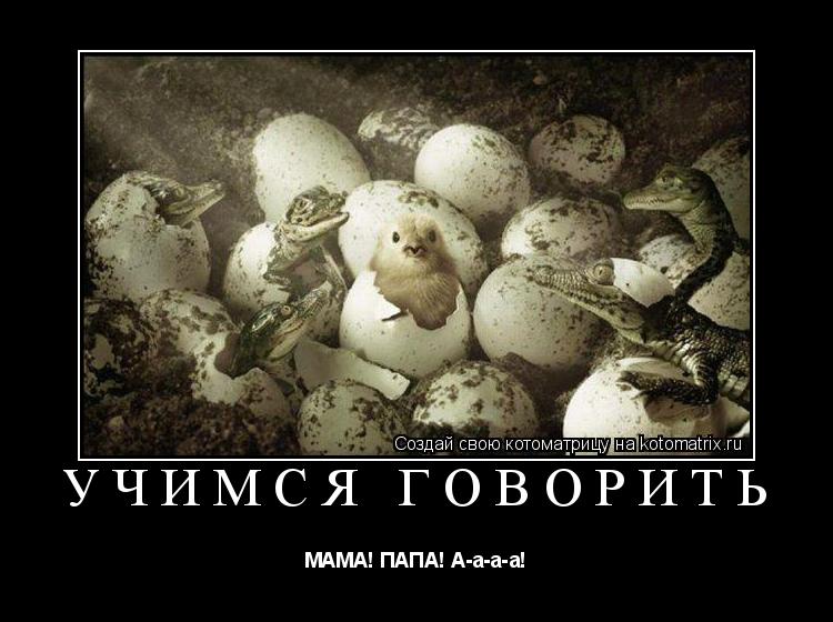 Учимся говорить МАМА! ПАПА! А-а-а-а!... Котоматрица: Учимся говорить МАМА! ПАПА! А-а-а-а!