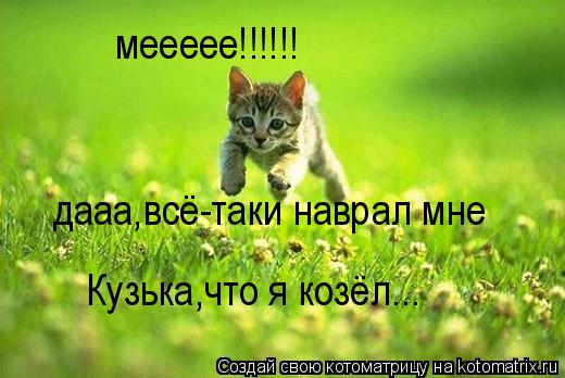 меееее!!!!!! дааа,всё-таки наврал мне Кузька,что я козёл...... Котоматрица: меееее!!!!!! дааа,всё-таки наврал мне Кузька,что я козёл...