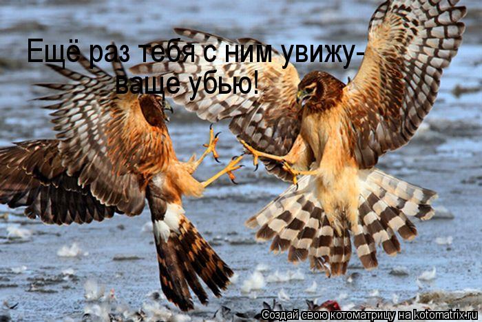Ещё раз тебя с ним увижу- ваще убью!... Котоматрица: Ещё раз тебя с ним увижу- ваще убью!