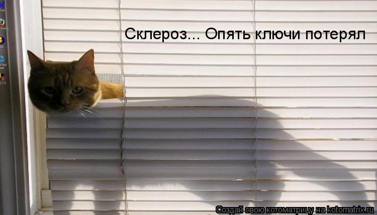 Склероз... Опять ключи потерял... Котоматрица: Склероз... Опять ключи потерял
