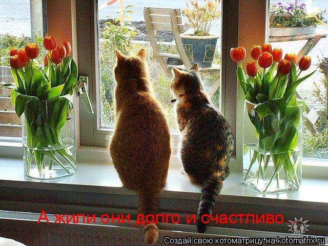 А жили они долго и счастливо...... Котоматрица: А жили они долго и счастливо...