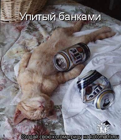 Упитый банками... Котоматрица: Упитый банками