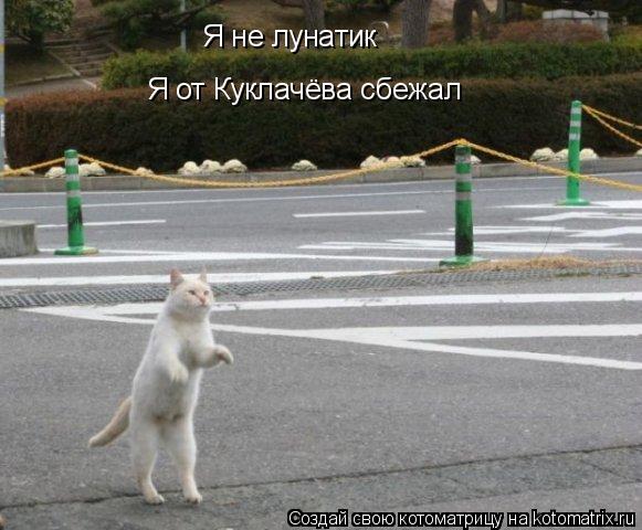Я не лунатик Я от Куклачёва сбежал... Котоматрица: Я не лунатик Я от Куклачёва сбежал
