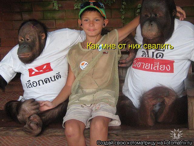 Котоматрица: Как мне от них свалить