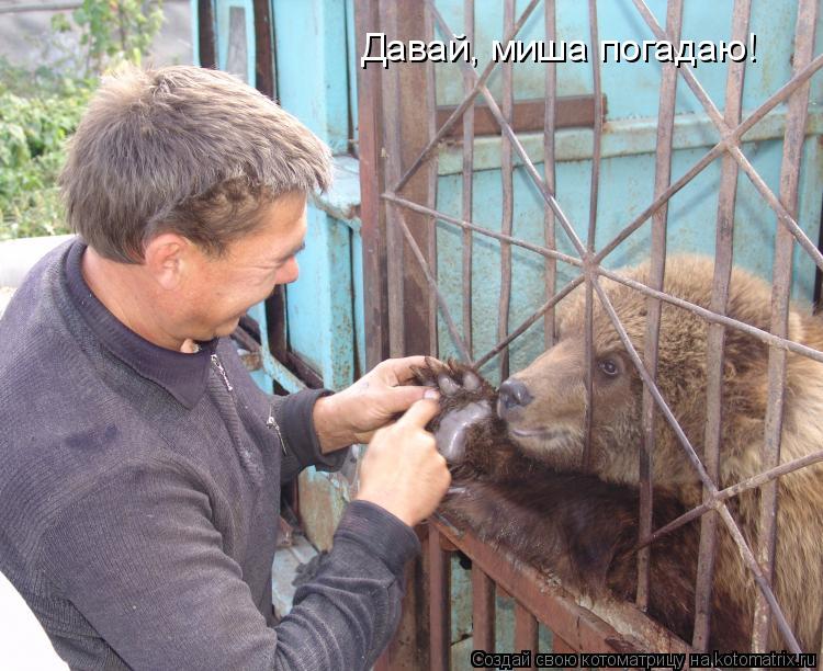 Котоматрица: Давай, миша погадаю!