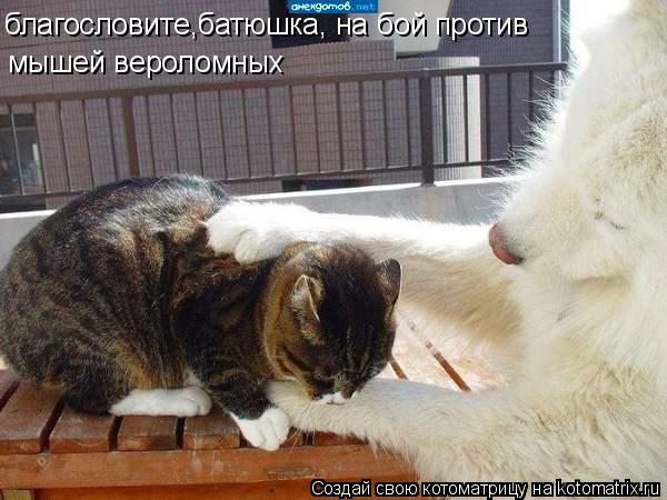 благословите,батюшка, на бой против мышей вероломных... Котоматрица: благословите,батюшка, на бой против мышей вероломных