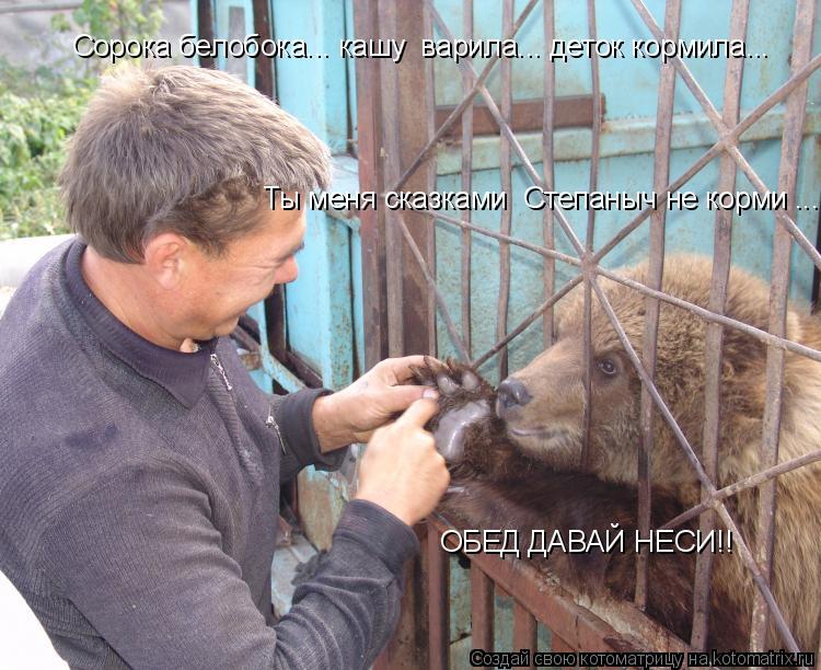 Сорока белобока... кашу варила... деток кормила... Ты меня сказками Степаныч не корми ... ОБЕД ДАВА... Котоматрица: Сорока белобока... кашу варила... деток кормила... Ты меня сказками Степаныч не корми ... ОБЕД ДАВАЙ НЕСИ!!