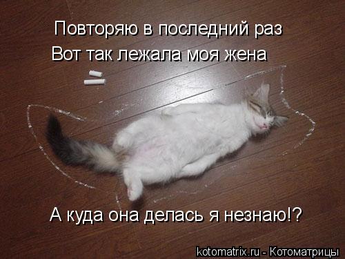 Повторяю в последний раз Вот так лежала моя жена А куда она делась я незнаю!?... Котоматрица: Повторяю в последний раз Вот так лежала моя жена А куда она делась я незнаю!?