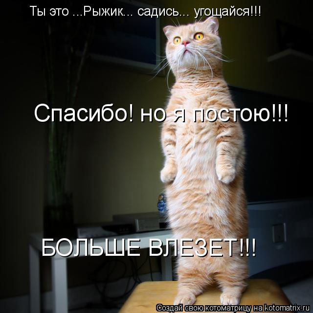Ты это ...Рыжик... садись... угощайся!!! Спасибо! но я постою!!! БОЛЬШЕ ВЛЕЗЕТ!!!... Котоматрица: Ты это ...Рыжик... садись... угощайся!!! Спасибо! но я постою!!! БОЛЬШЕ ВЛЕЗЕТ!!!