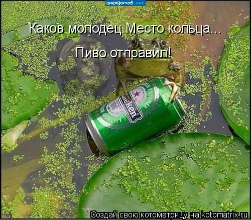 Каков молодец.Место кольца... Пиво отправил!... Котоматрица: Каков молодец.Место кольца... Пиво отправил!