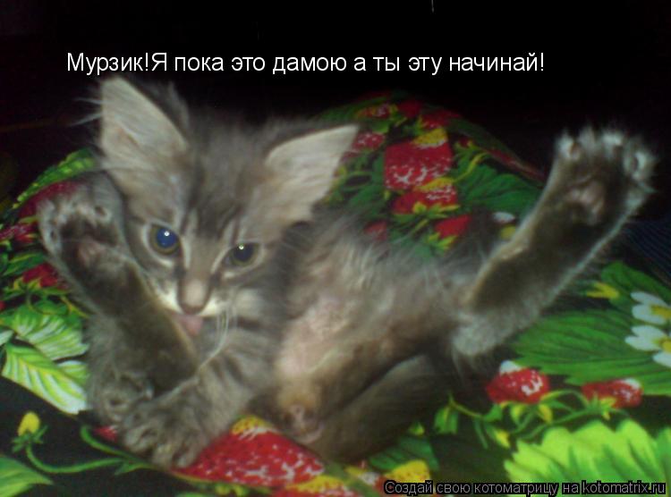 Мурзик!Я пока это дамою а ты эту начинай!... Котоматрица: Мурзик!Я пока это дамою а ты эту начинай!