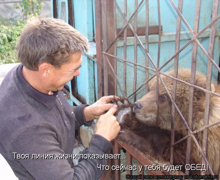 Твоя линия жизни показывает... Что сейчас у тебя будет ОБЕД!... Котоматрица: Твоя линия жизни показывает... Что сейчас у тебя будет ОБЕД!
