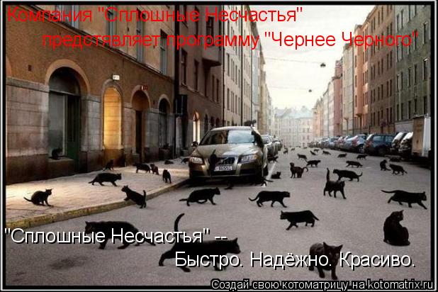 Компания "Сплошные Несчастья" предстявляет программу "Чернее Черного" "Сплошные Несчастья" -- Быстр... Котоматрица: Компания "Сплошные Несчастья" предстявляет программу "Чернее Черного" "Сплошные Несчастья" -- Быстро. Надёжно. Красиво.