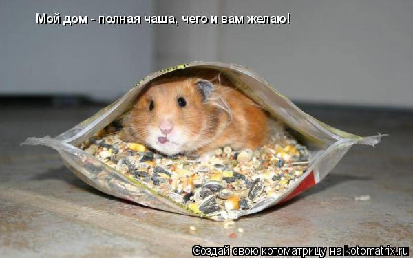 Мой дом - полная чаша, чего и вам желаю!... Котоматрица: Мой дом - полная чаша, чего и вам желаю!