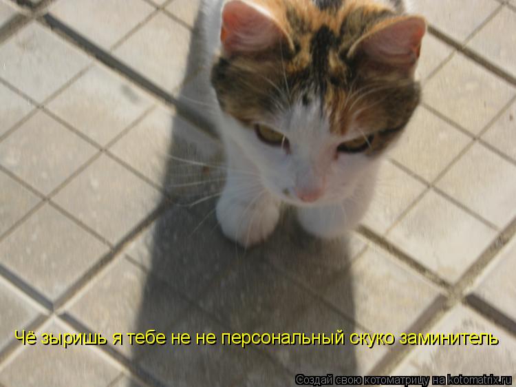 Чё зыришь я тебе не не персональный скуко заминитель... Котоматрица: Чё зыришь я тебе не не персональный скуко заминитель