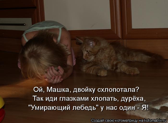 Котоматрица: Ой, Машка, двойку схлопотала? Так иди глазками хлопать, дурёха, "Умирающий лебедь" у нас один - Я!