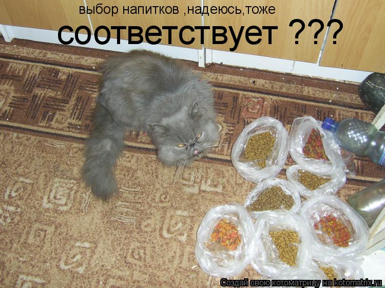 выбор напитков ,надеюсь,тоже соответствует ???... Котоматрица: выбор напитков ,надеюсь,тоже соответствует ???