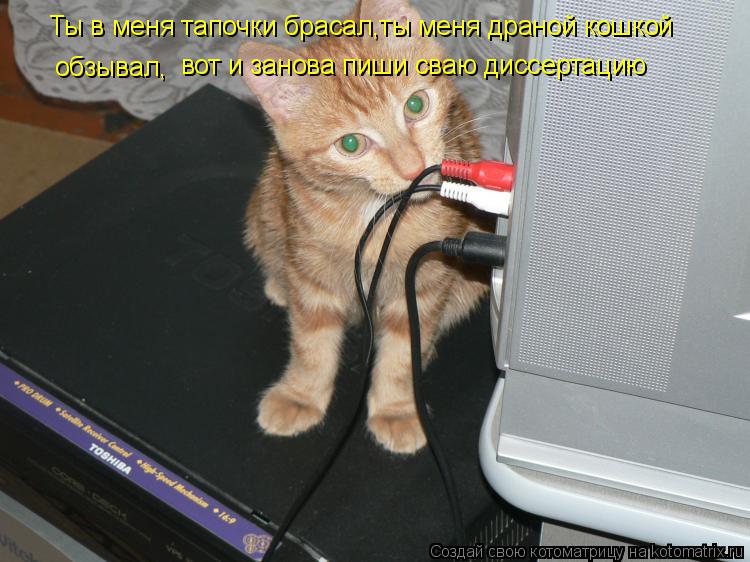 Ты в меня тапочки брасал,ты меня драной кошкой обзывал, вот и занова пиши сваю диссертацию... Котоматрица: Ты в меня тапочки брасал,ты меня драной кошкой обзывал, вот и занова пиши сваю диссертацию