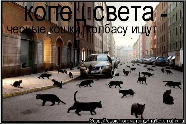 копец света - черные кошки, колбасу ищут... Котоматрица: копец света - черные кошки, колбасу ищут