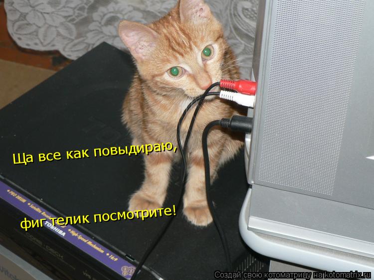 Ща все как повыдираю, фиг телик посмотрите!... Котоматрица: Ща все как повыдираю, фиг телик посмотрите!