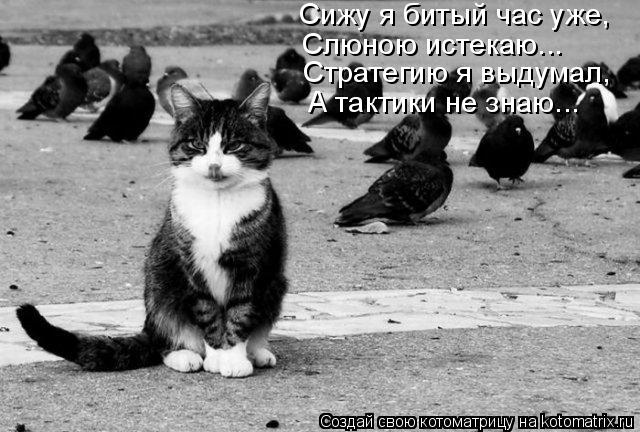 Сижу я битый час уже, Слюною истекаю... Стратегию я выдумал, А тактики не знаю...... Котоматрица: Сижу я битый час уже, Слюною истекаю... Стратегию я выдумал, А тактики не знаю...