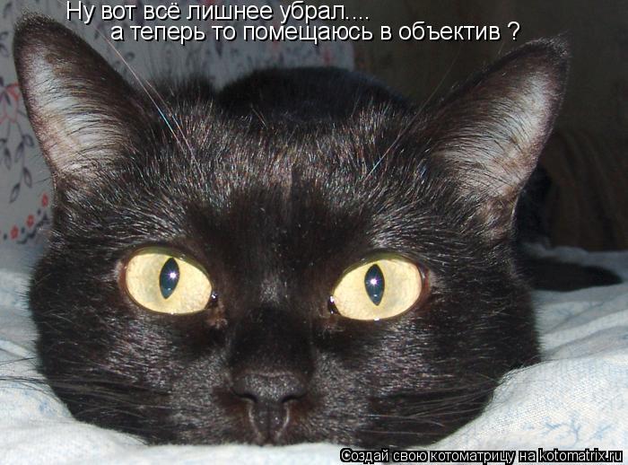 Ну вот всё лишнее убрал.... а теперь то помещаюсь в объектив ?... Котоматрица: Ну вот всё лишнее убрал.... а теперь то помещаюсь в объектив ?