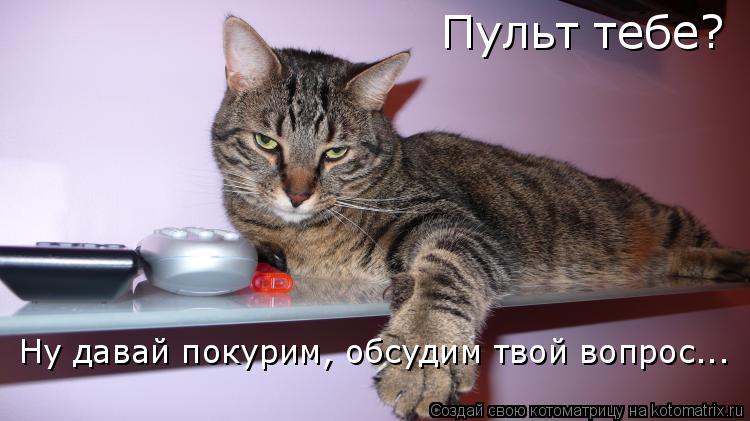 Пульт тебе? Ну давай покурим, обсудим твой вопрос...... Котоматрица: Пульт тебе? Ну давай покурим, обсудим твой вопрос...