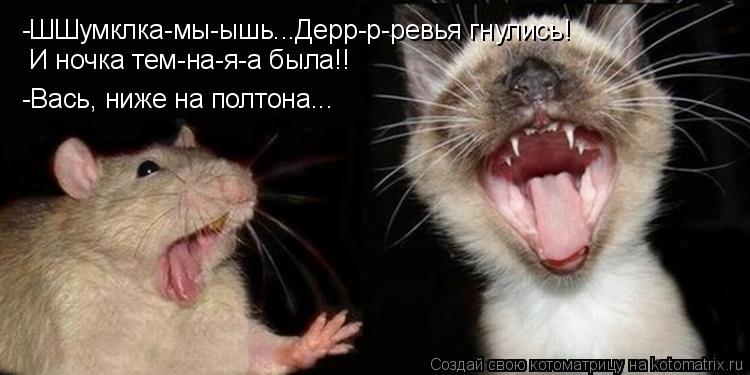 -ШШумклка-мы-ышь...Дерр-р-ревья гнулись! И ночка тем-на-я-а была!! -Вась, ниже на полтона...... Котоматрица: -ШШумклка-мы-ышь...Дерр-р-ревья гнулись! И ночка тем-на-я-а была!! -Вась, ниже на полтона...