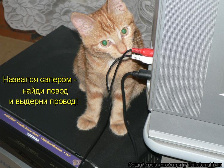 Назвался сапером - найди повод и выдерни провод!... Котоматрица: Назвался сапером - найди повод и выдерни провод!