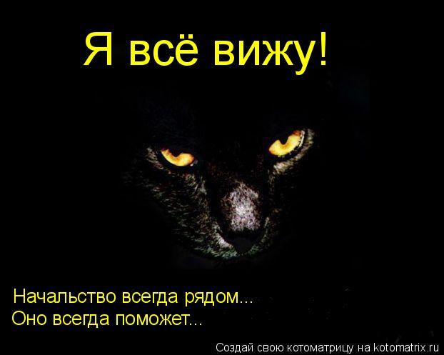 Я всё вижу! Начальство всегда рядом... Оно всегда поможет...... Котоматрица: Я всё вижу! Начальство всегда рядом... Оно всегда поможет...