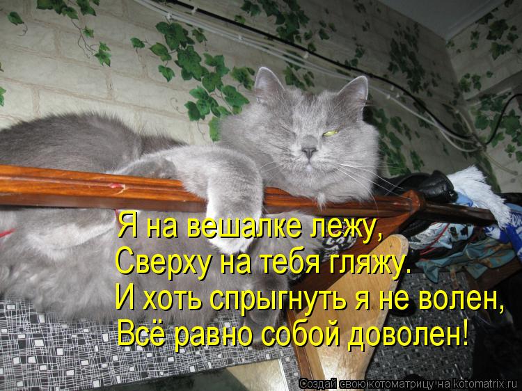 Котоматрица: И хоть спрыгнуть я не волен, Всё равно собой доволен! Сверху на тебя гляжу. Я на вешалке лежу,