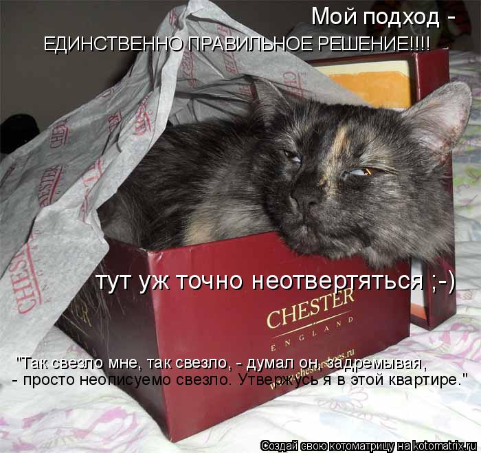 Котоматрица: Мой подход -   ЕДИНСТВЕННО ПРАВИЛЬНОЕ РЕШЕНИЕ!!!! тут уж точно неотвертяться ;-) "Так свезло мне, так свезло, - думал он, задремывая,  - просто нео