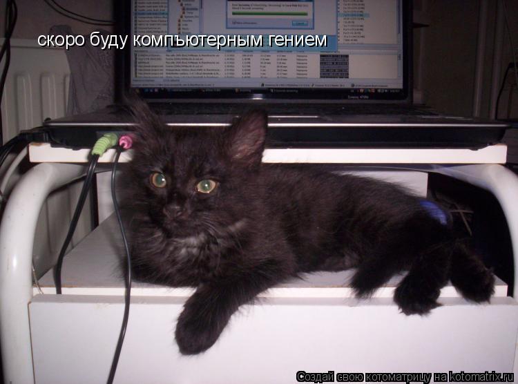 скоро буду компъютерным гением... Котоматрица: скоро буду компъютерным гением