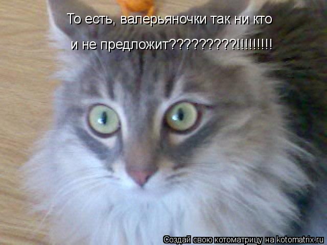 Котоматрица: То есть, валерьяночки так ни кто и не предложит?????????!!!!!!!!!