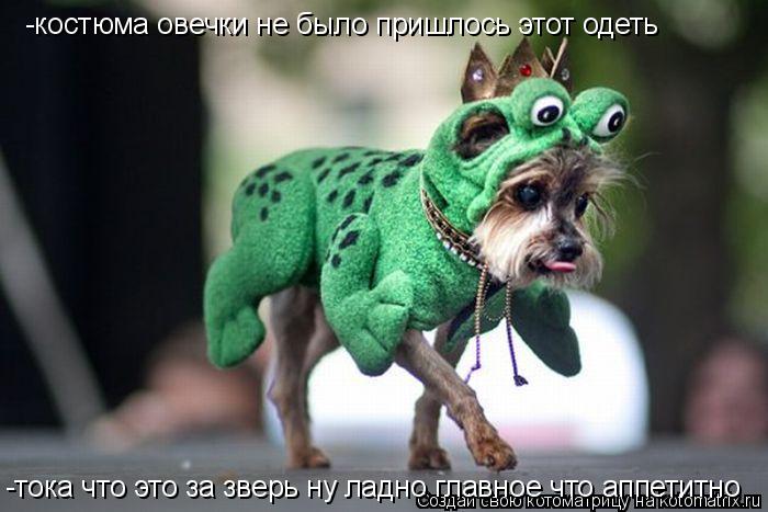 Котоматрица: -костюма овечки не было пришлось этот одеть -тока что это за зверь ну ладно главное что аппетитно