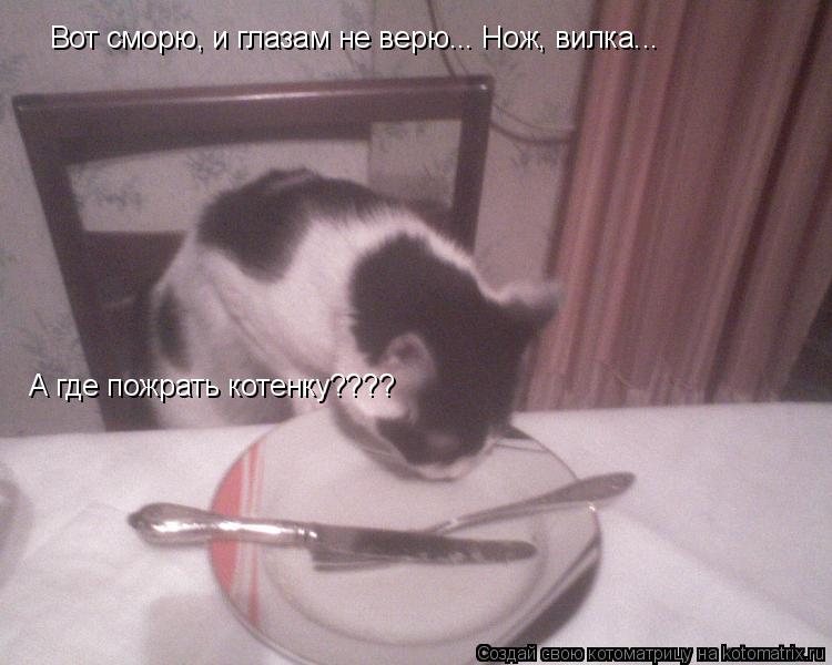 Котоматрица: Вот сморю, и глазам не верю... Нож, вилка... А где пожрать котенку????