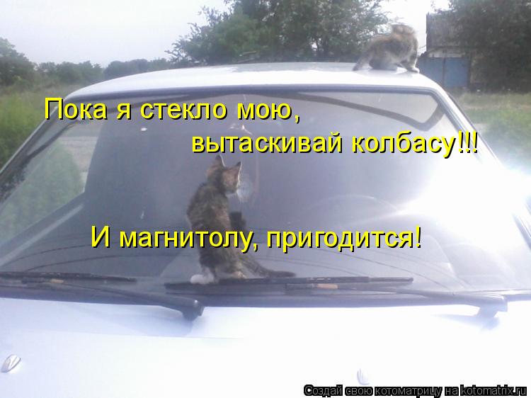 Пока я стекло мою, вытаскивай колбасу!!! И магнитолу, пригодится!... Котоматрица: Пока я стекло мою, вытаскивай колбасу!!! И магнитолу, пригодится!